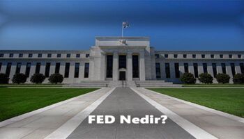 Fednedir, fedin görevleri