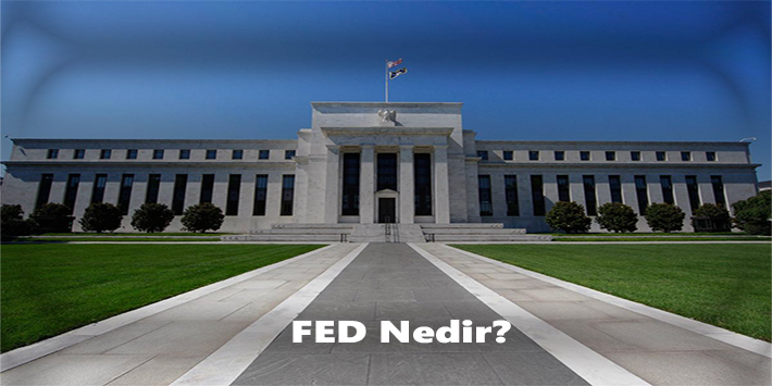 Fednedir, fedin görevleri