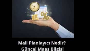 mali planlayıcı nedir maaşları ne kadar