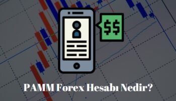 pamm forex hesabı
