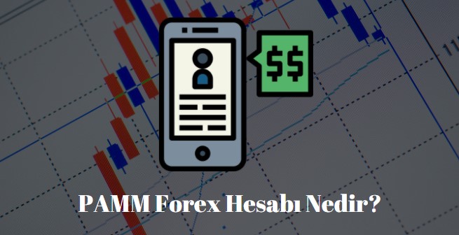 pamm forex hesabı