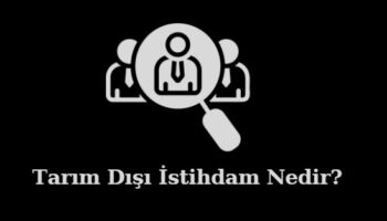 tarım dışı istihdam nedir