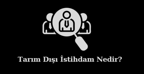 tarım dışı istihdam nedir