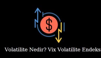 volatilite nedir