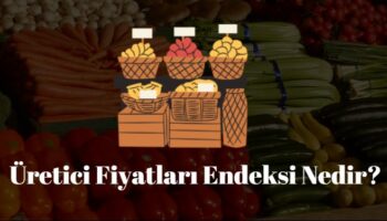üretici fiyatları endeksi nedir