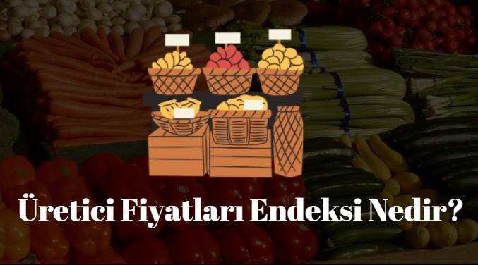 üretici fiyatları endeksi nedir