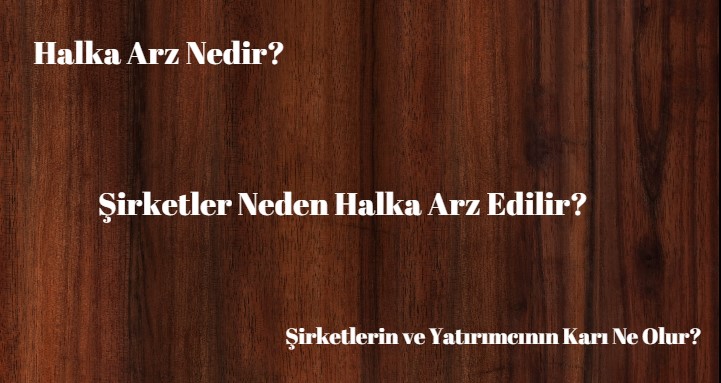 halka arz nedir nasıl yapılır