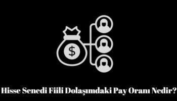 hisse senedi fiili dolaşımdaki pay oranı nedir