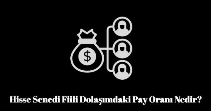 hisse senedi fiili dolaşımdaki pay oranı nedir
